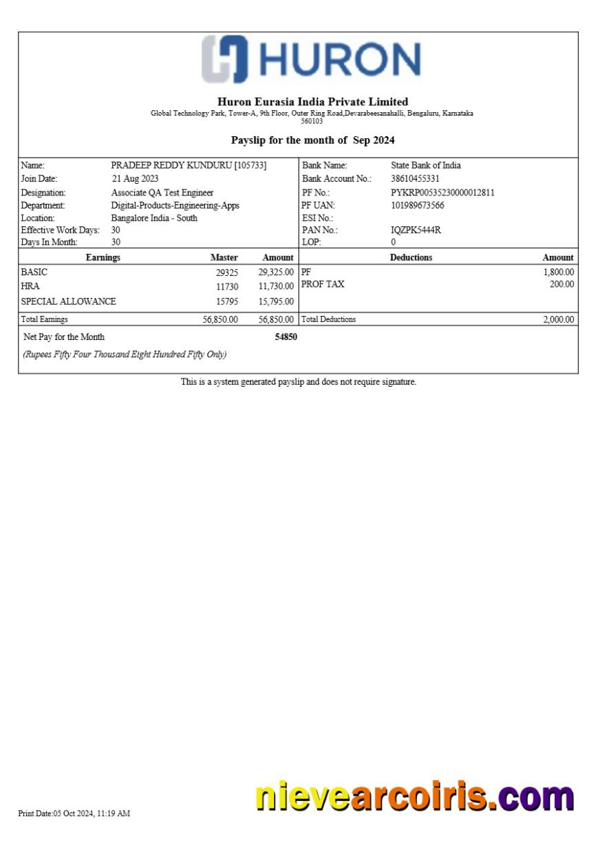 Huron Eurasia India payslip